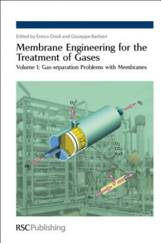 Knjiga Membrane Engineering for the Treatment of Gases Enrico Drioli