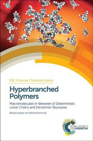 Knjiga Hyperbranched Polymers Lederer