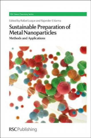 Könyv Sustainable Preparation of Metal Nanoparticles Rafael Luque