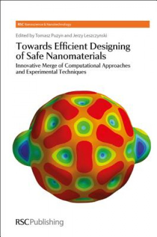 Libro Towards Efficient Designing of Safe Nanomaterials Jerzy Leszczynski