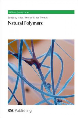 Kniha Natural Polymers Maya J. John