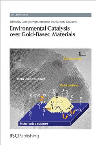 Knjiga Environmental Catalysis over Gold-Based Materials George Avgouropoulos