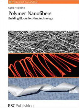 Könyv Polymer Nanofibers Dario Pisignano