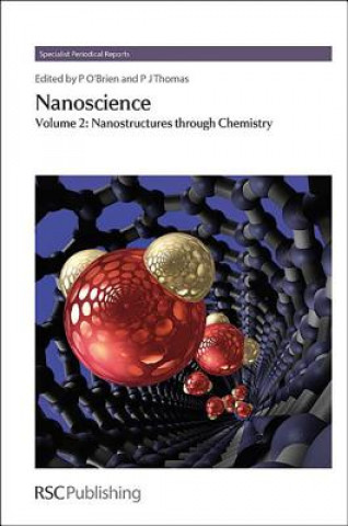Kniha Nanoscience Paul O'Brien