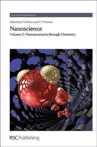 Boek Nanoscience Paul O'Brien
