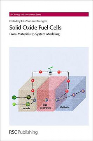 Livro Solid Oxide Fuel Cells Tim S. Zhao