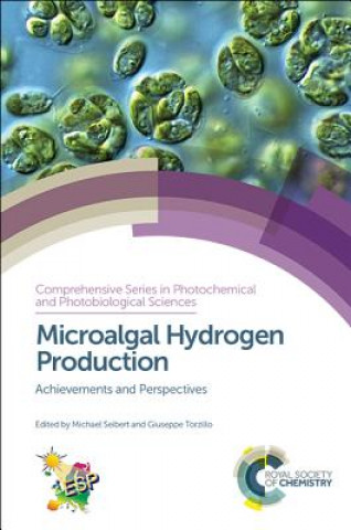 Carte Microalgal Hydrogen Production Michael Seibert