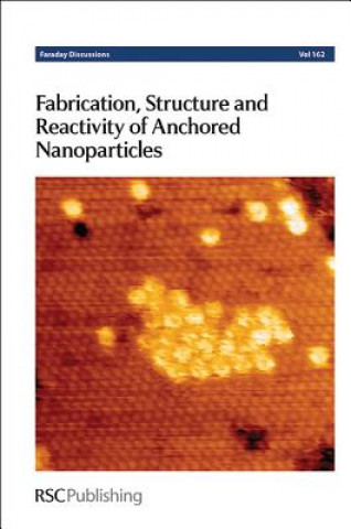 Kniha Fabrication, Structure and Reactivity of Anchored Nanoparticles Royal Society of Chemistry