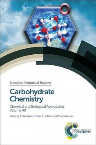 Kniha Carbohydrate Chemistry Amelia Pilar Rauter