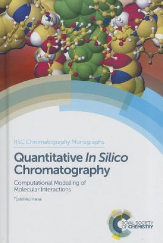Kniha Quantitative In Silico Chromatography Toshihiko T. Hanai