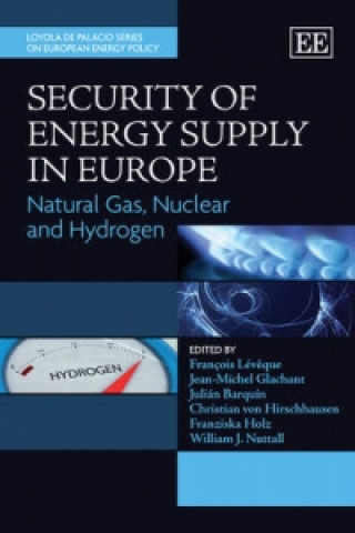 Knjiga Security of Energy Supply in Europe 