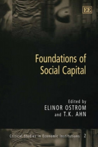 Kniha Foundations of Social Capital 