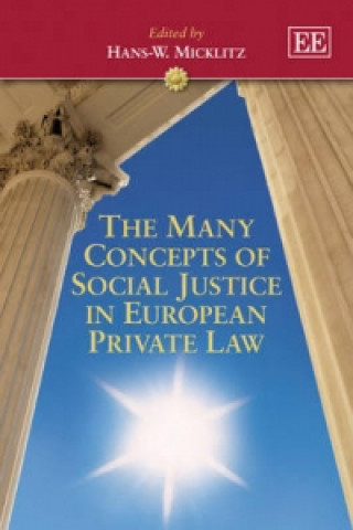 Kniha Many Concepts of Social Justice in European Private Law 