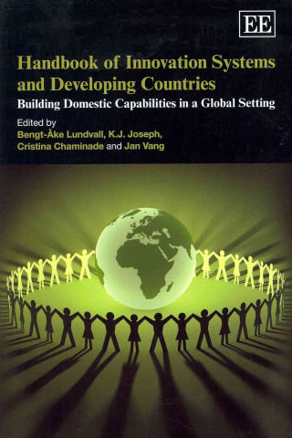 Kniha Handbook of Innovation Systems and Developing Countries 