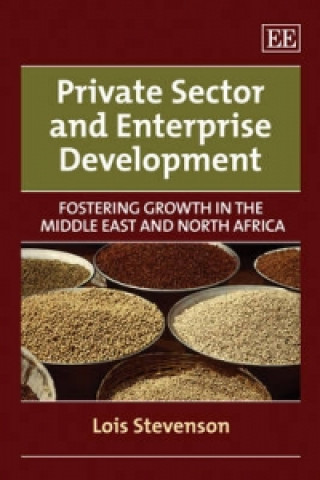 Könyv Private Sector and Enterprise Development Lois Stevenson