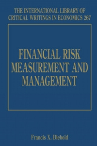 Könyv Financial Risk Measurement and Management 
