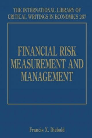 Książka Financial Risk Measurement and Management 