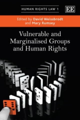 Book Vulnerable and Marginalised Groups and Human Rights 