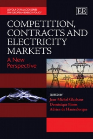 Książka Competition, Contracts and Electricity Markets - A New Perspective 