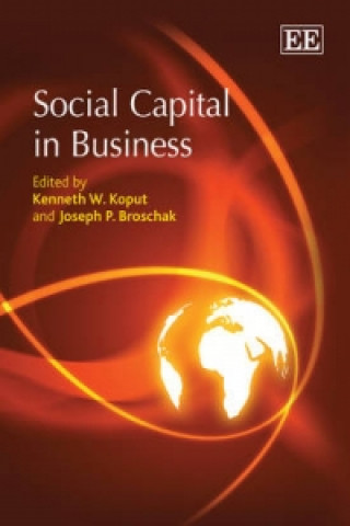 Livre Social Capital in Business 