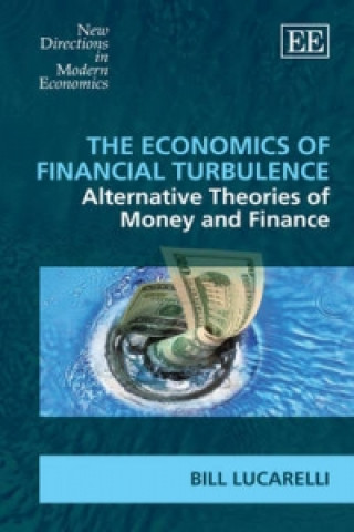 Βιβλίο Economics of Financial Turbulence Bill Lucarelli