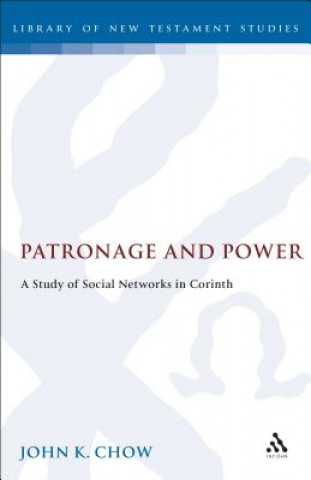 Книга Patronage and Power John Kin-Man Chow