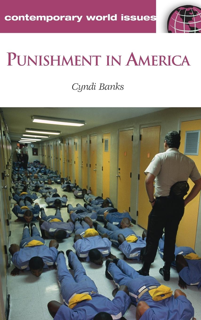 Książka Punishment in America Cyndi Banks