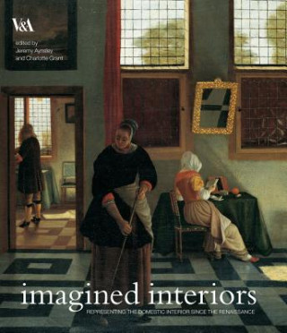 Könyv Imagined Interiors Jeremy Aynsley