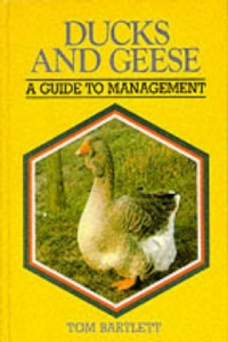 Carte Ducks & Geese Tom Bartlett