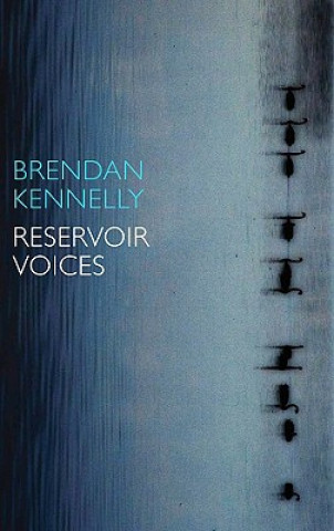 Kniha Reservoir Voices Brendan Kennelly