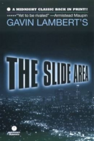 Buch Slide Area Gavin Lambert