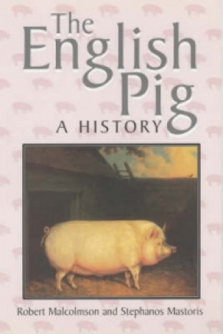 Buch English Pig Robert Malcolmson