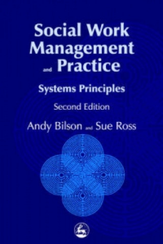 Book Social Work Management and Practice Sue Ross