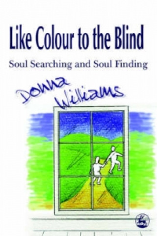 Kniha Like Colour to the Blind Donna Williams