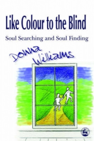 Book Like Colour to the Blind Donna Williams