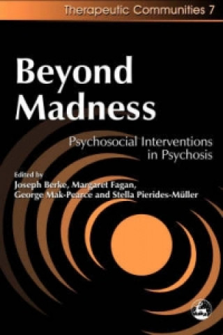 Buch Beyond Madness Joseph H. Berke