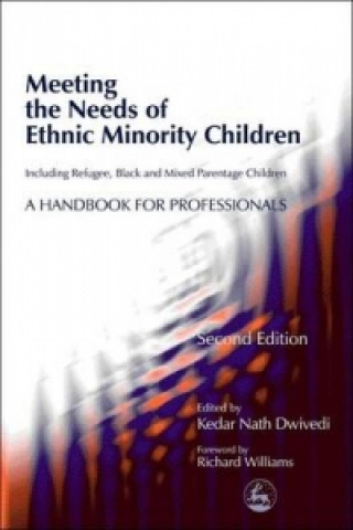 Knjiga Meeting the Needs of Ethnic Minority Children - Including Refugee, Black and Mixed Parentage Children Linda Wilson