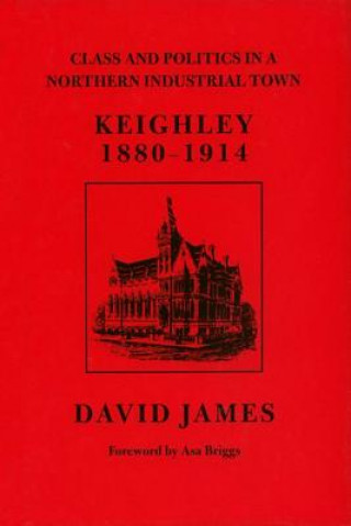 Knjiga Class and Politics in a Northern Industrial Town David James