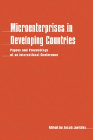 Könyv Microenterprises in Developing Countries Jacob Levitsky
