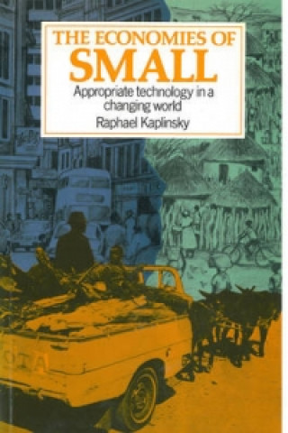 Книга Economies of Small Raphael Kaplinsky