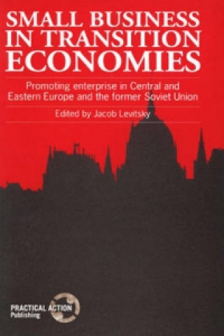 Kniha Small Business in Transition Economies Jacob Levitsky