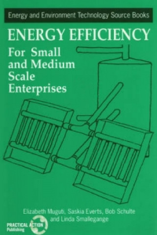 Buch Energy Efficiency for Small and Medium Enterprises Elizabeth Muguti