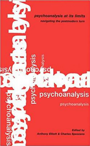 Knjiga Psychoanalysis at Its Limits Anthony Elliot