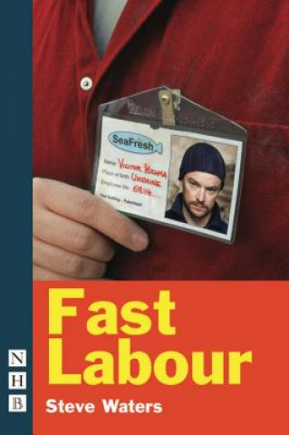 Könyv Fast Labour Steve Waters