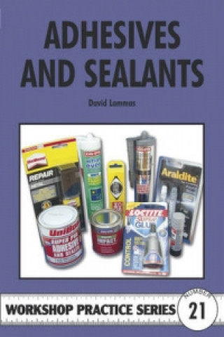 Kniha Adhesives and Sealants David Lammas