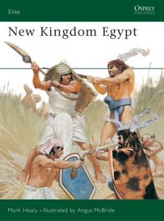 Carte New Kingdom Egypt Mark Healy