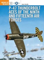 Könyv P-47 Thunderbolt Aces of the Ninth and Fifteenth Air Forces Jerry Scutts