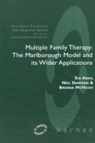 Kniha Multiple Family Therapy Eia Asen