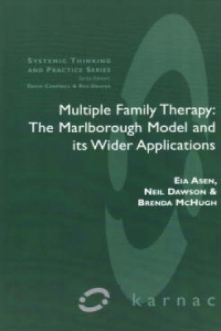 Livre Multiple Family Therapy Eia Asen