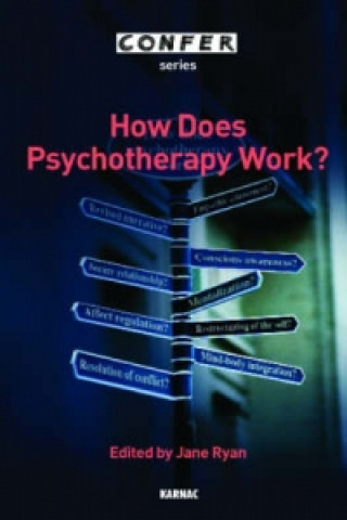 Kniha How does Psychotherapy Work? Jane Ryan